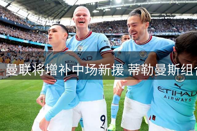 曼联将增补中场新援 蒂勒曼斯组合存短板